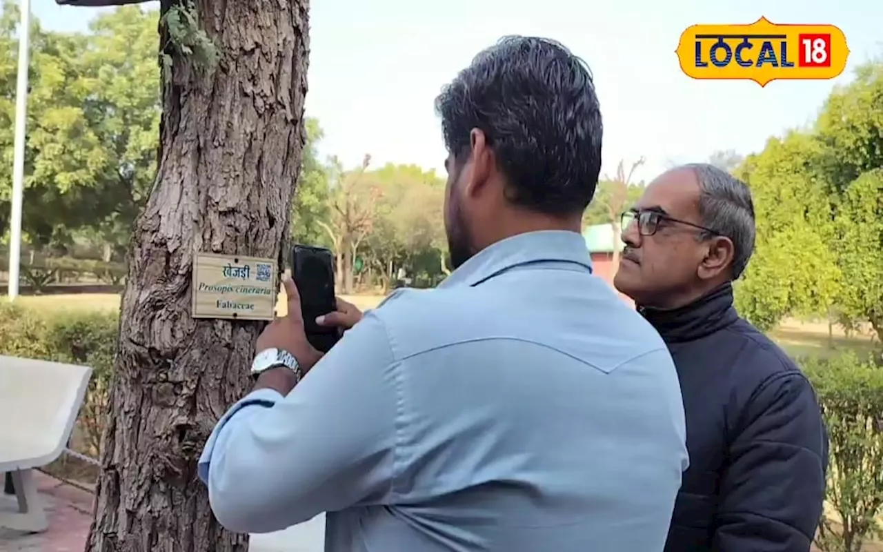 Plant QR Scanning: चूरू में वन विभाग का जबरदस्त प्रयोग, क्यूआर कोड से मिलेगी अब पेड़ की पूरी जानकारी, लोगों ...