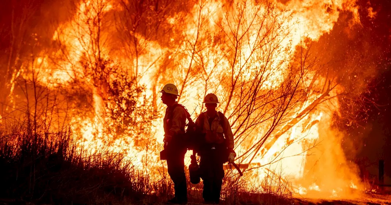 Arson Suspect Is Nabbed By Neighbors Near One Of L.A. Fires