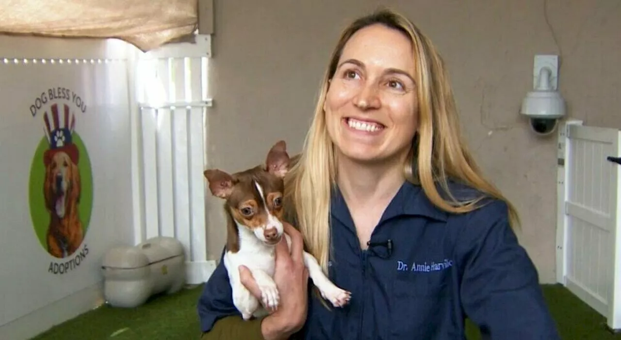 Veterinaria apre le porte alla sua clinica per animali in fuga dall'incendio a Los Angeles