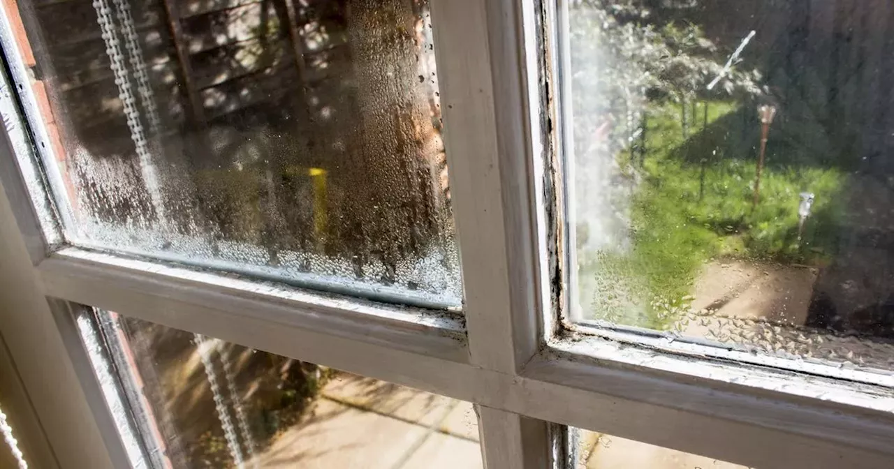 €13 Device Banishes Window Condensation, Say Irish Homeowners