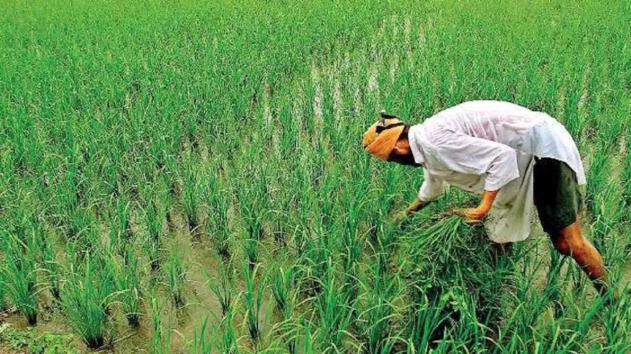 किसान आंदोलन: एमएसपी कानूनी गारंटी की मांग