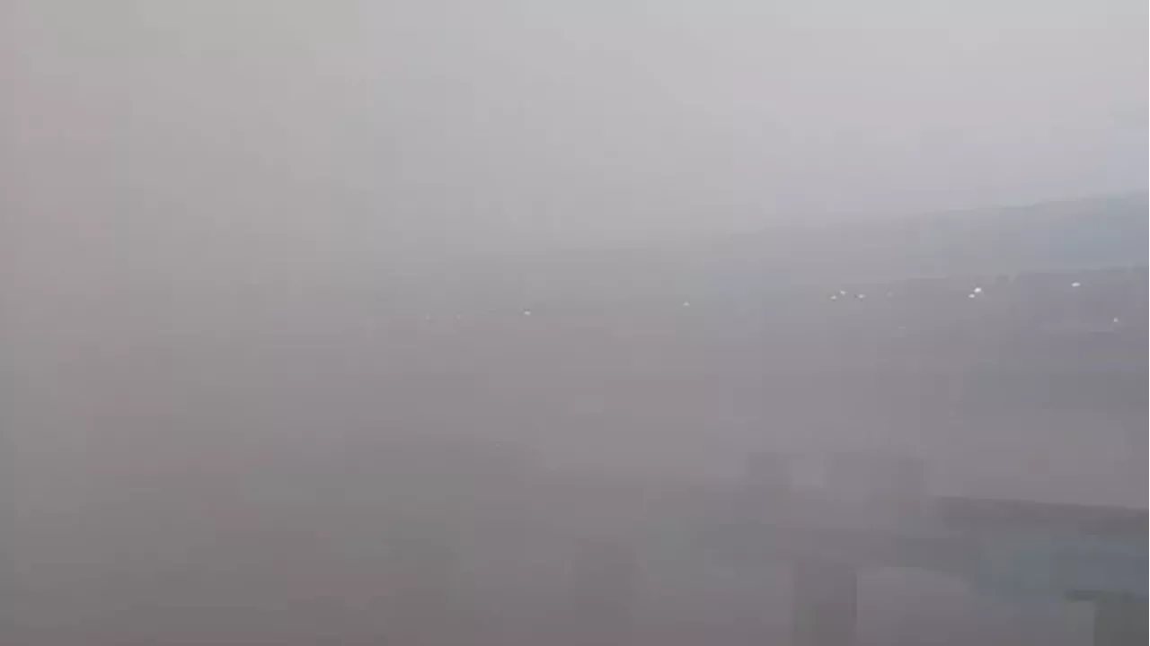 Fog in Delhi-NCR: यात्रियों पर कोहरे की मार! 100 से ज्यादा फ्लाइट लेट, ट्रेनों की रफ्तार भी थमी; देखें लिस्ट