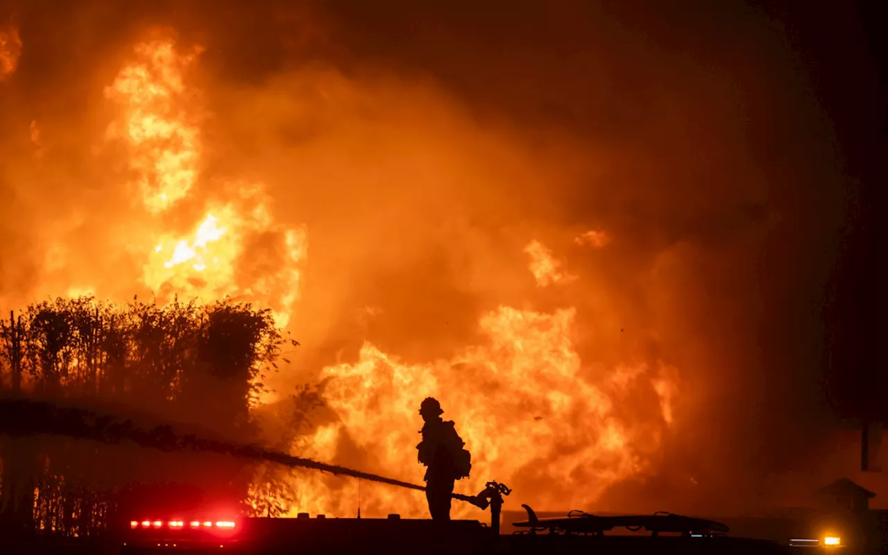 Campeão olímpico da natação perde medalhas nos incêndios em Los Angeles