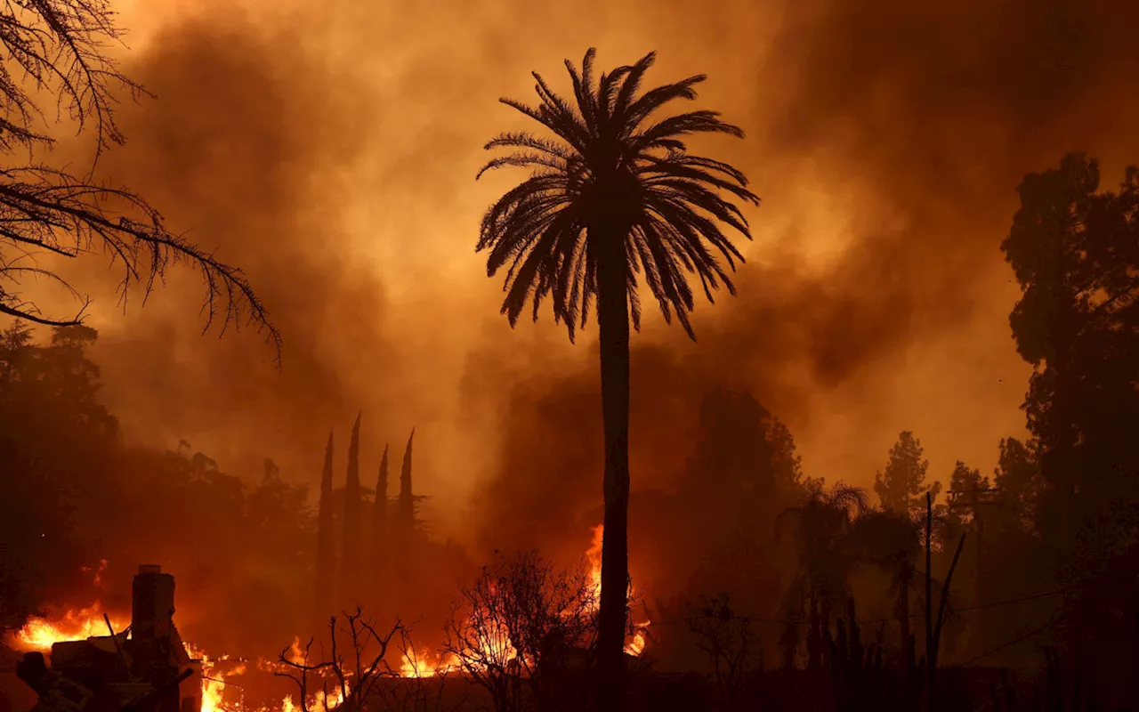 Incêndios florestais em Los Angeles devem se tornar os mais caros da história dos EUA