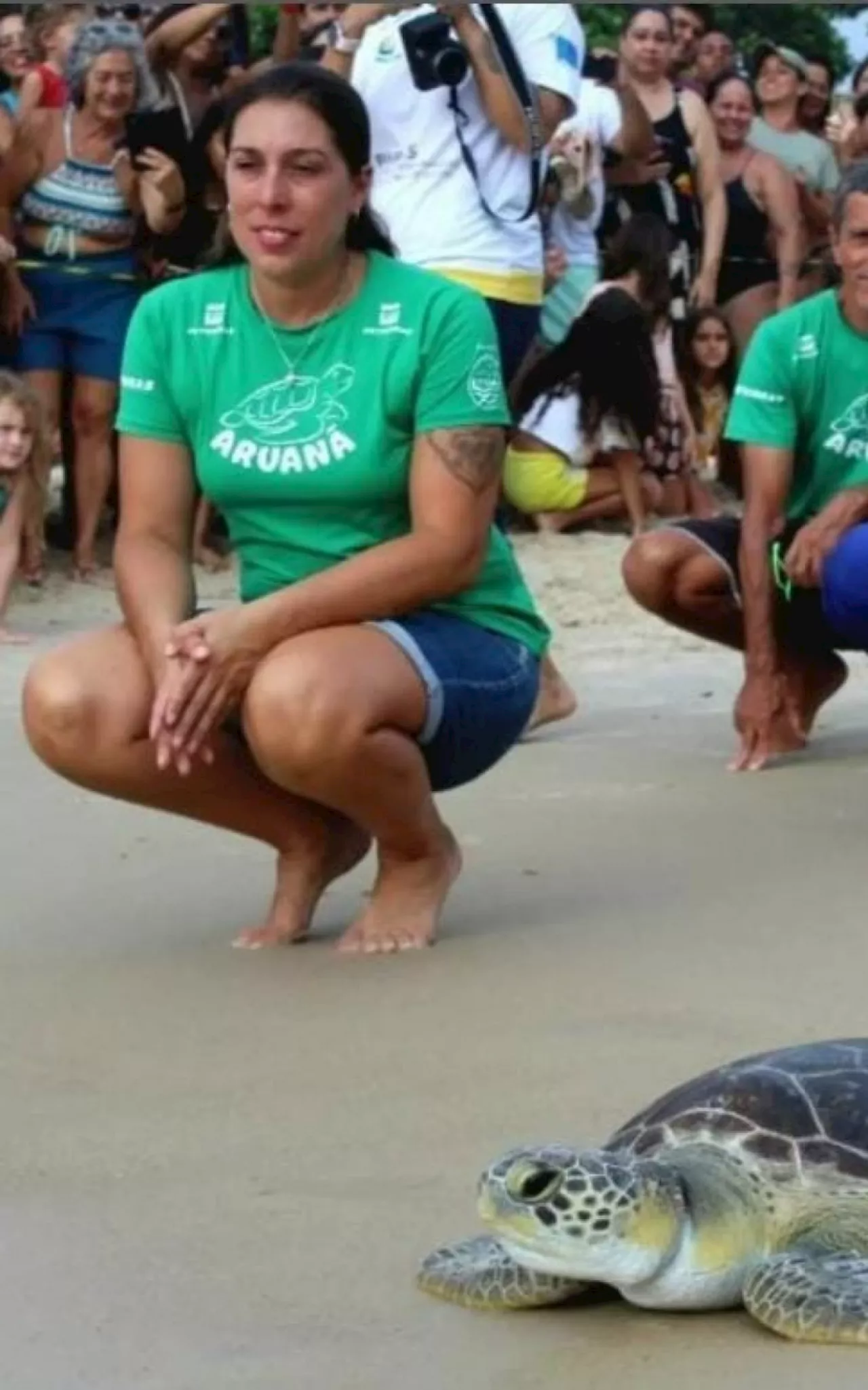 Tartaruga resgatada em Niterói com linha de pesca enrolada no pescoço é devolvida ao mar