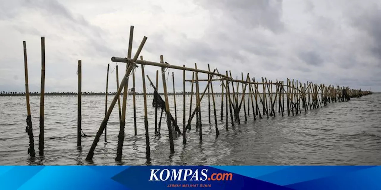 Pemerintah Cari Dalang Pemasangan Pagar Misterius di Laut Tangerang