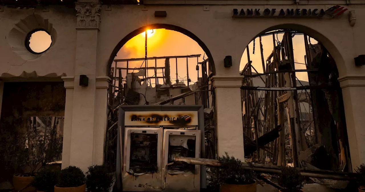 Thousands of Los Angeles homeowners were dropped by their insurers before the Palisades Fire