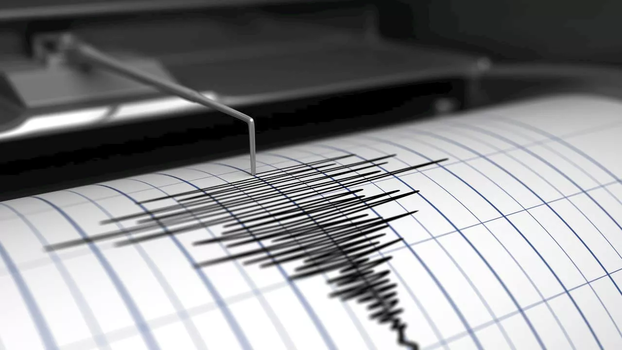 Earthquakes Shake Near San Francisco Zoo