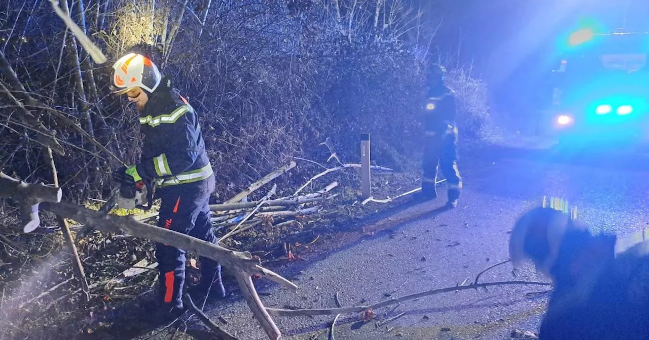 Sturm: Knapp 200 Einsätze in Wien und Niederösterreich