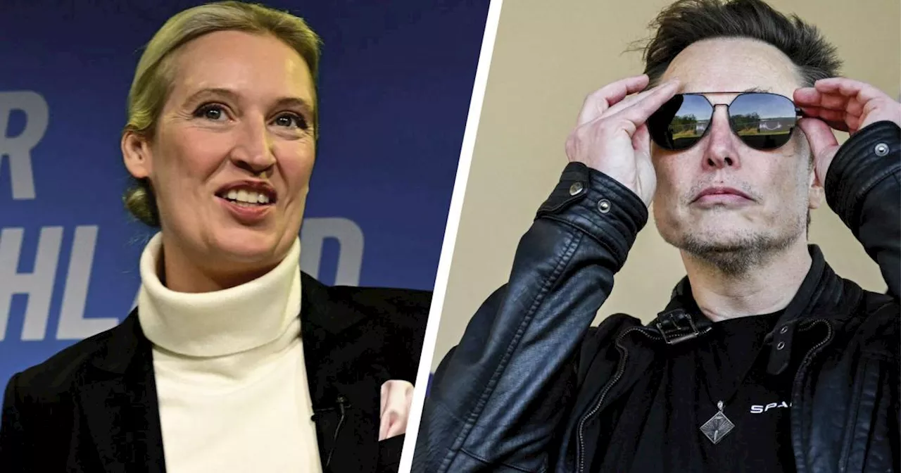 War Hitler Kommunist? Was Elon Musk mit AfD-Chefin Weidel besprach