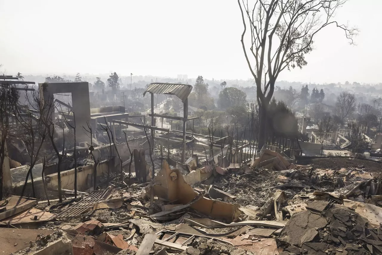 Incendies de Los Angeles : le bilan monte à 10 morts, les feux toujours hors de contrôle