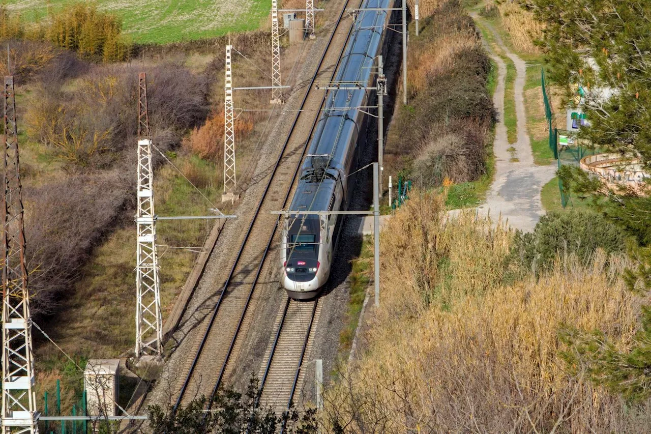 La justice européenne estime que la SNCF n’a pas à demander l’identité de genre de ses clients