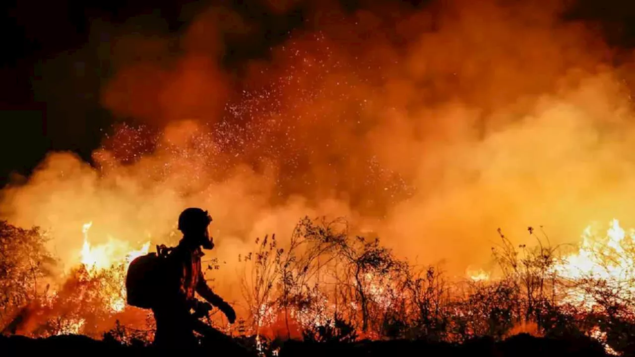 Calentamiento global rompe la barrera de los 1.5 °C anuales en 2024