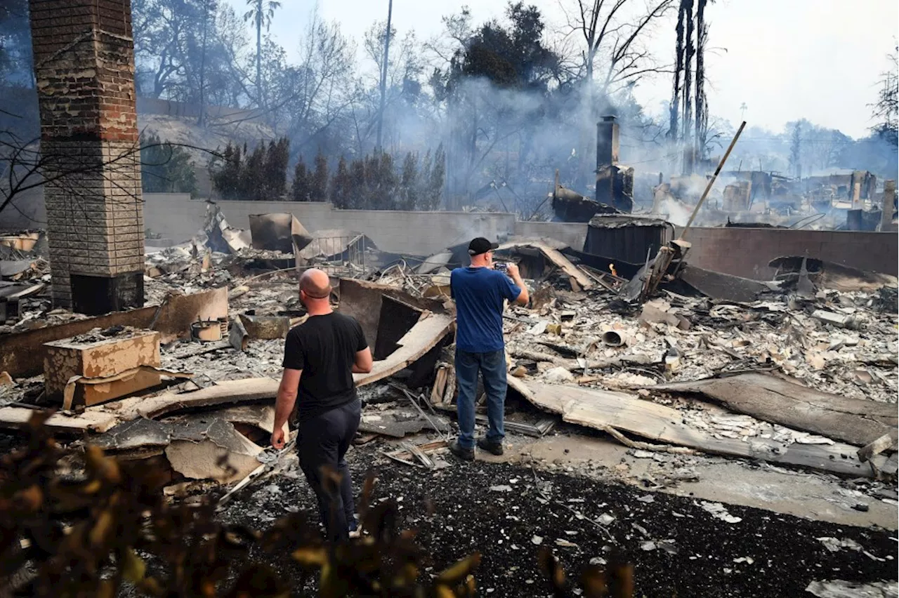 Southern California Wildfires: Finding Shelter and Support