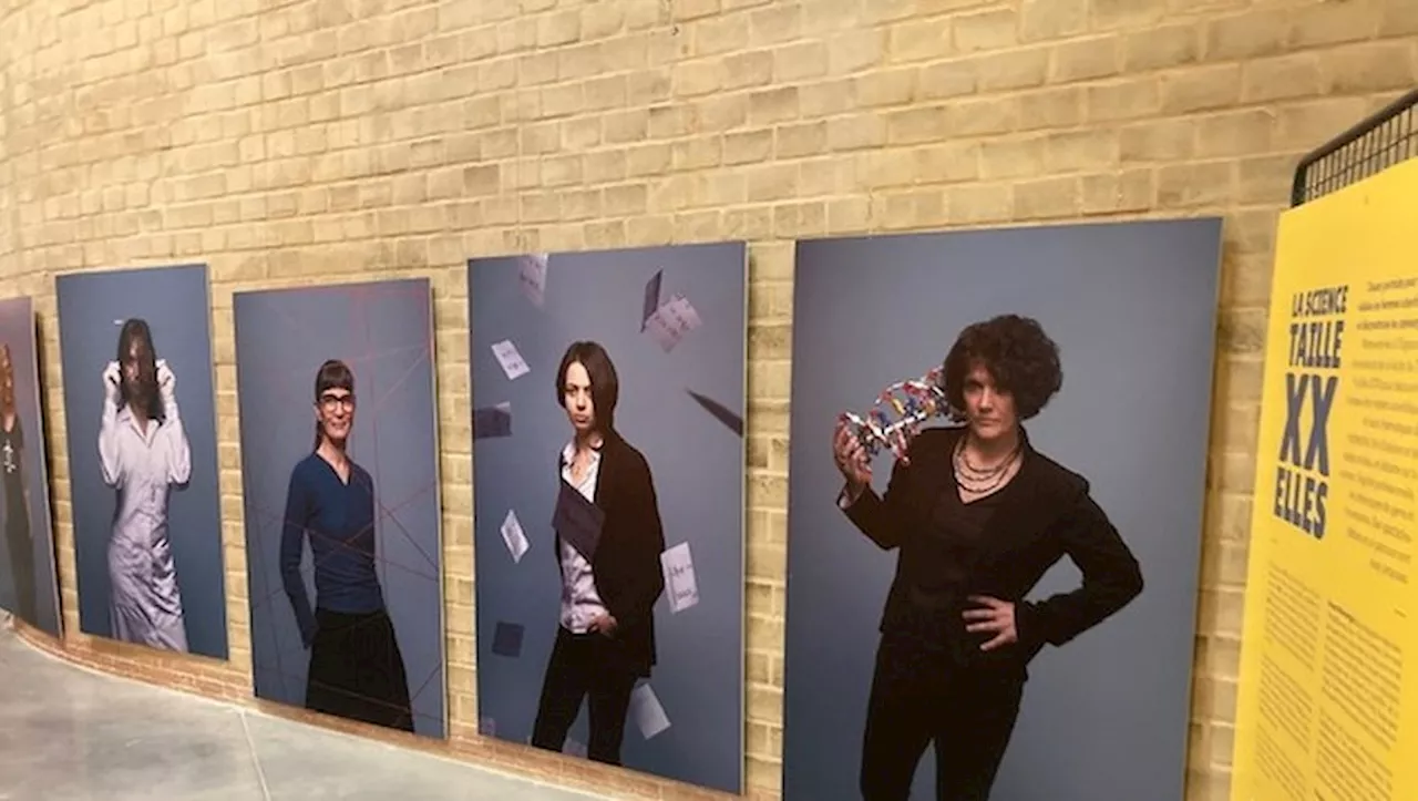 Saint-Sulpice-la-Pointe : une exposition sur les femmes scientifiques à la médiathèque