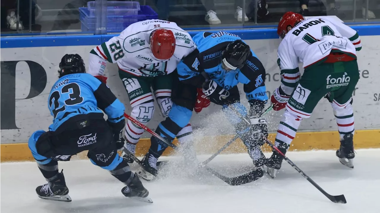 Ligue Magnus : les Spartiates brisés par la vague basque