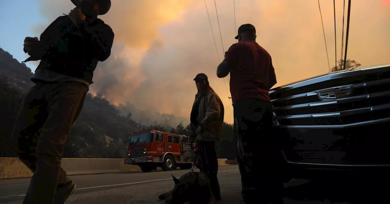 L.A. wildfire resource guide: How to stay safe, what to do and how to help