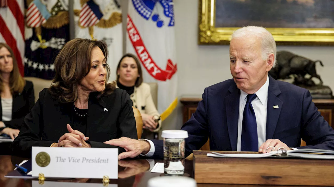 Joe Biden tells Kamala Harris to 'fire away' in awkward moment during briefing on LA wildfires