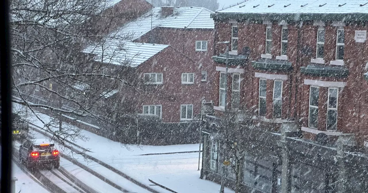 Frozen Pedestrian Crossing Buttons Cause Traffic Chaos in Yorkshire