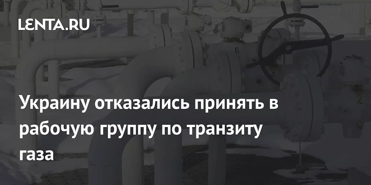 Украину отказались принять в рабочую группу по транзиту газа