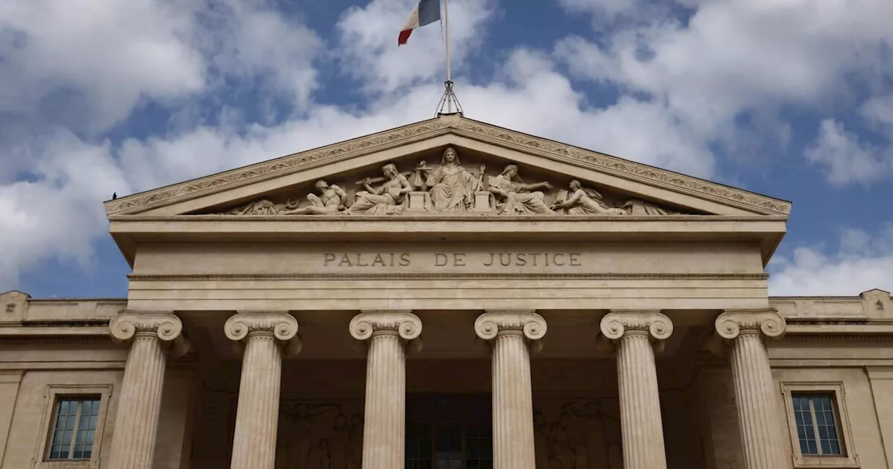 Souris avalée vivante à Marseille : des amendes avec sursis pour deux étudiants