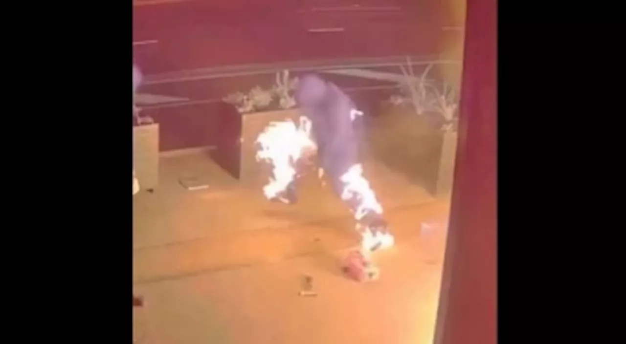 Pants on fire: Aussie arsonist burns own trousers in botched attack