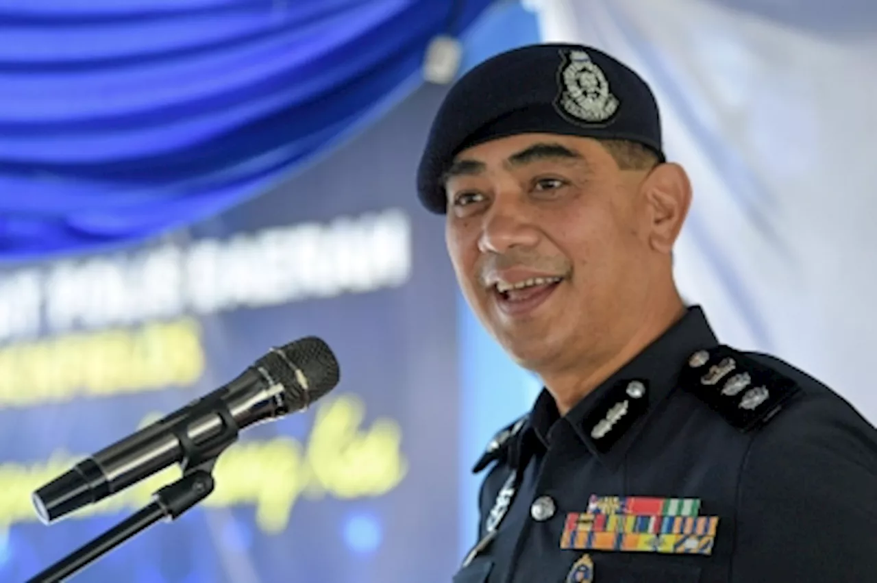 Universiti Malaya steps up efforts to tackle stray dogs after cat deaths, says Brickfields police chief