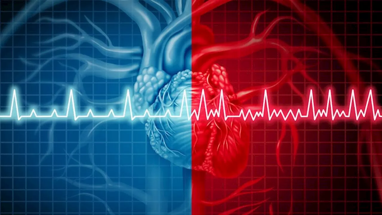 J&J Halts Varipulse Field Ablation for AFib