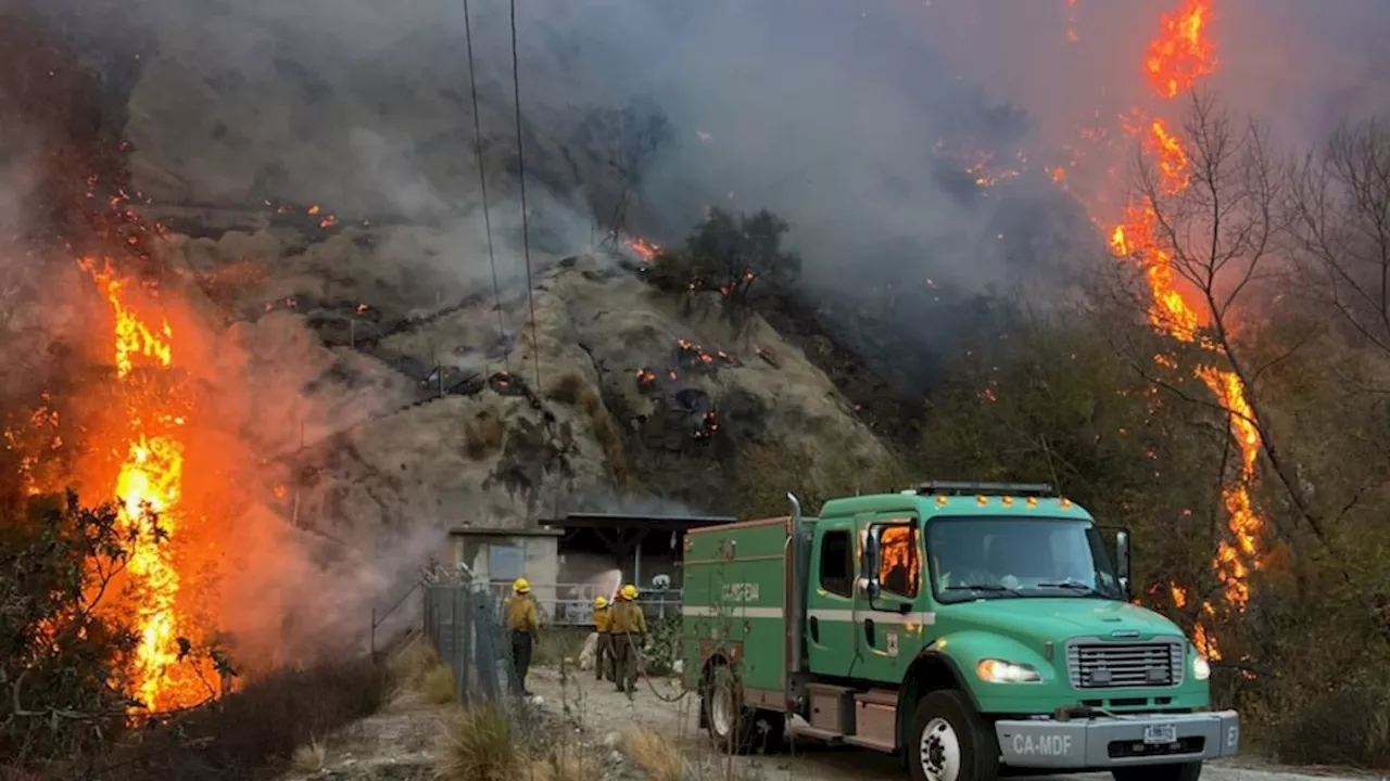 Incendios Forestales Devastan California