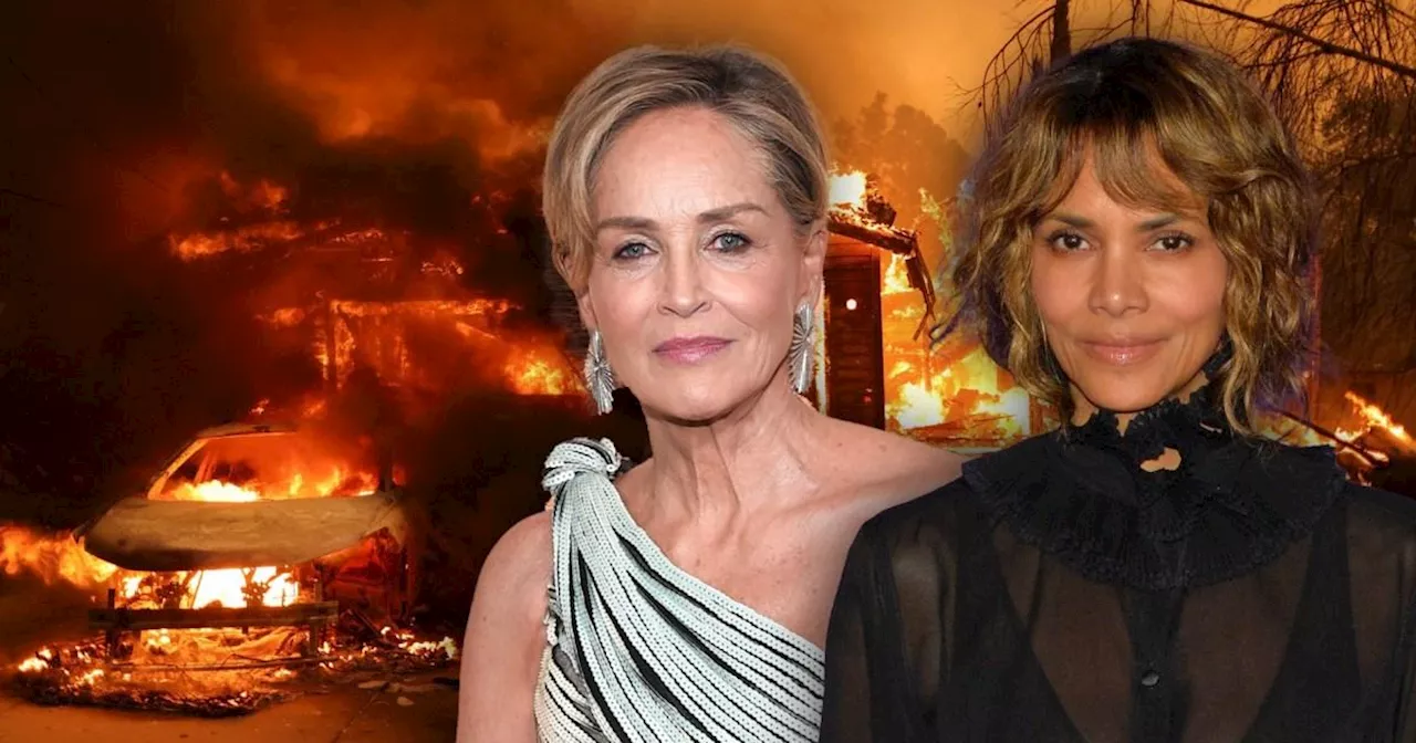 Halle Berry donates her entire closet as celebrities offer aid amid LA wildfires