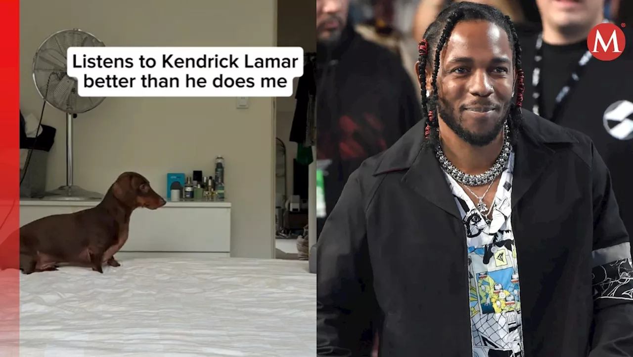 Perrito Viral por Seguir Órdenes de Kendrick Lamar