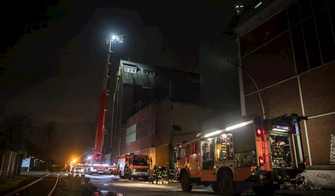 Großbrand in Hamburger Hafen: Rapspellets brennen mehrere Stunden