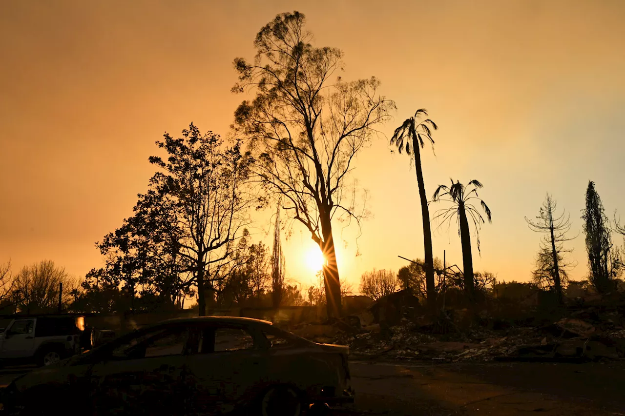 Guttenberg Finds Hope Amidst Devastation of Pacific Palisades Wildfires