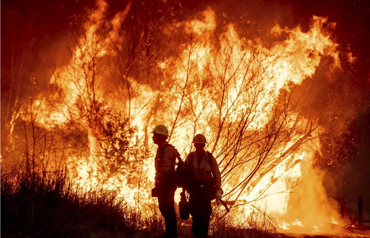 Feuerkatastrophe in Los Angeles: Experten vergleichen Zerstörung durch Waldbrände mit Atombombe