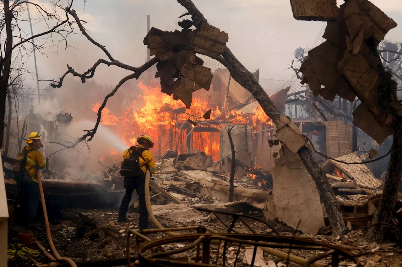 Waldbrände in Los Angeles: Ist die Stadt auf Katastrophen vorbereitet?