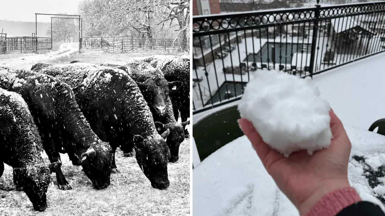 North Texans share photos of the first snow of 2025