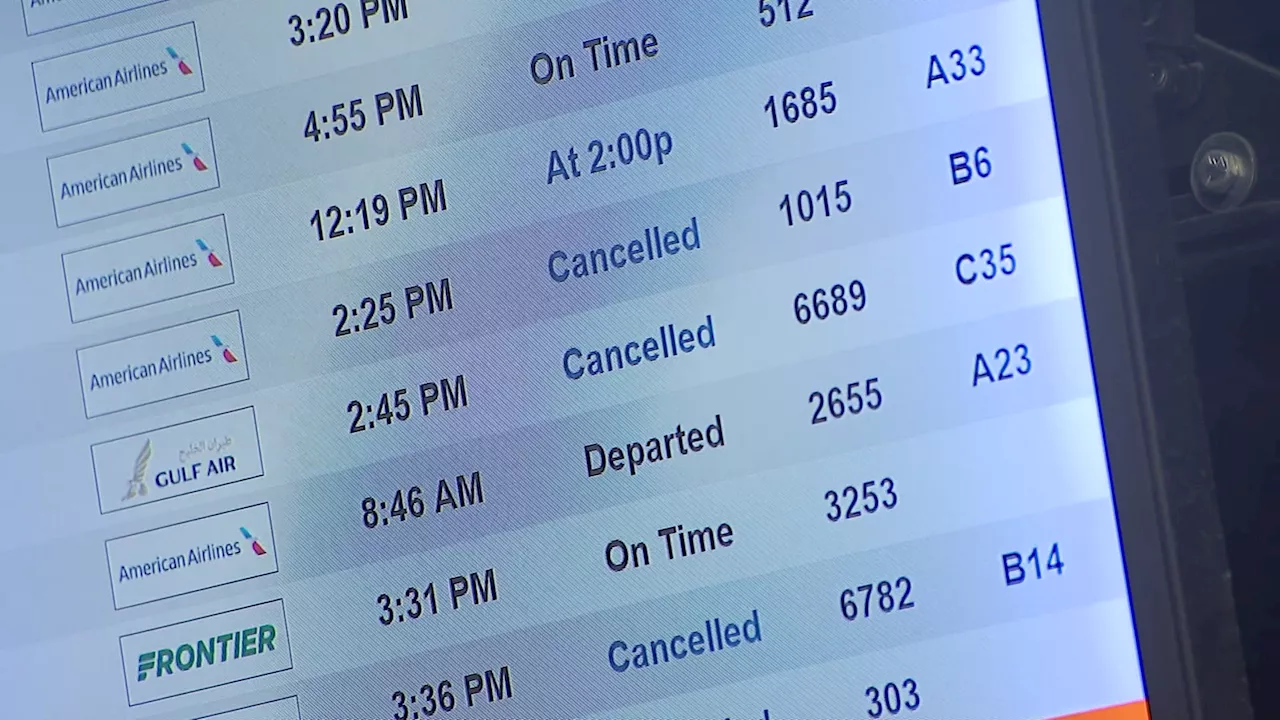 Snowstorm Disrupts Travel at DFW Airport