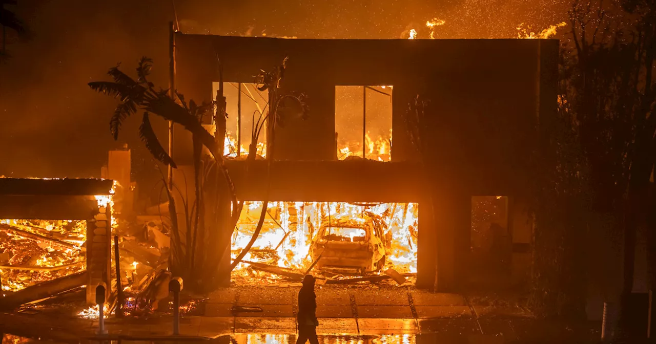 California Wildfires: A 'Perfect Storm' of Dry Conditions, High Winds, and Development