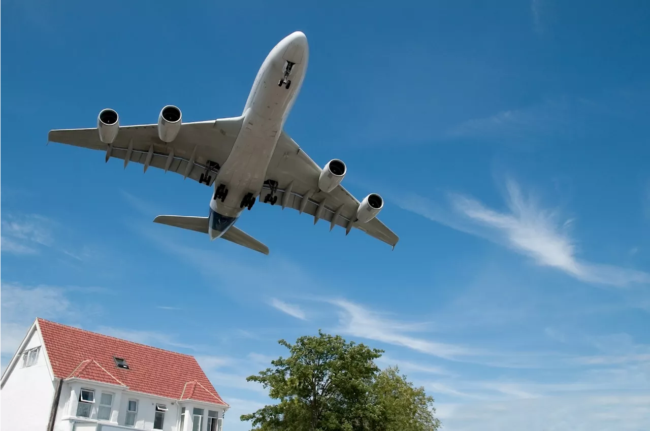 Aircraft noise pollution harms arteries, but heart drugs show promise in animal model research