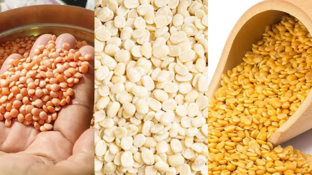 High Protein Pulses: सर्दियों में जरूर करें इन दालों का सेवन, पास नहीं आएगी ठंड!