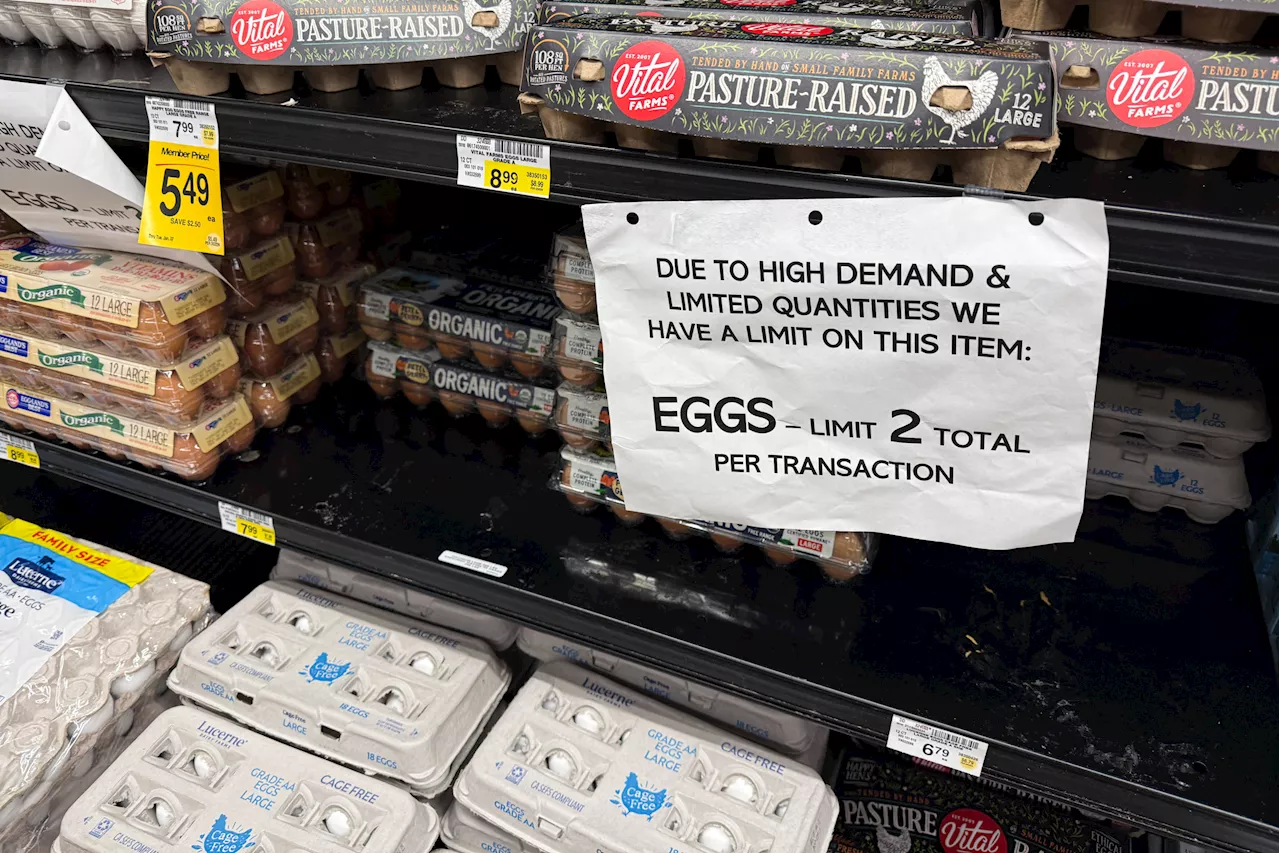 Bird Flu Cripples Egg Supply, Driving Prices Soar