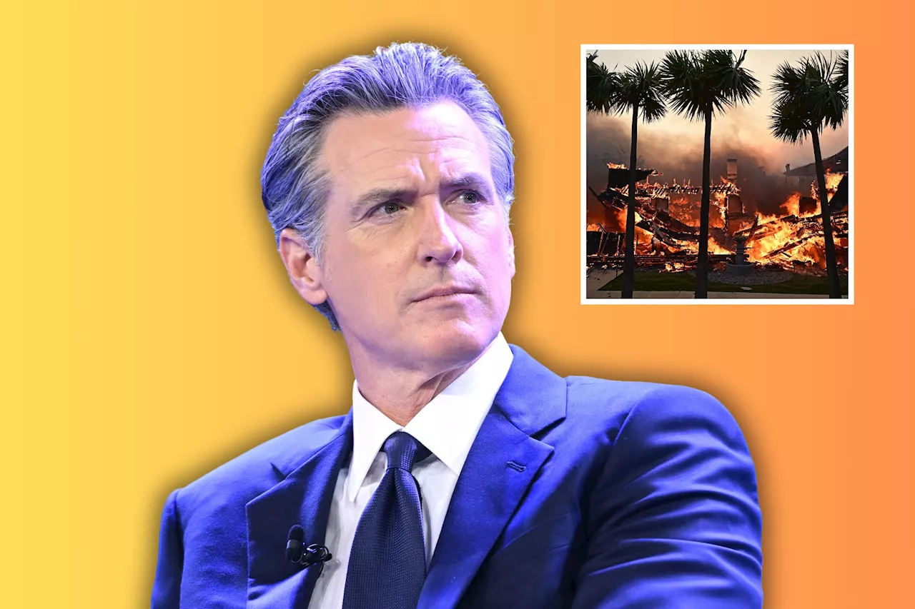 Celebrities Condemn Gavin Newsom as Fires Level Los Angeles