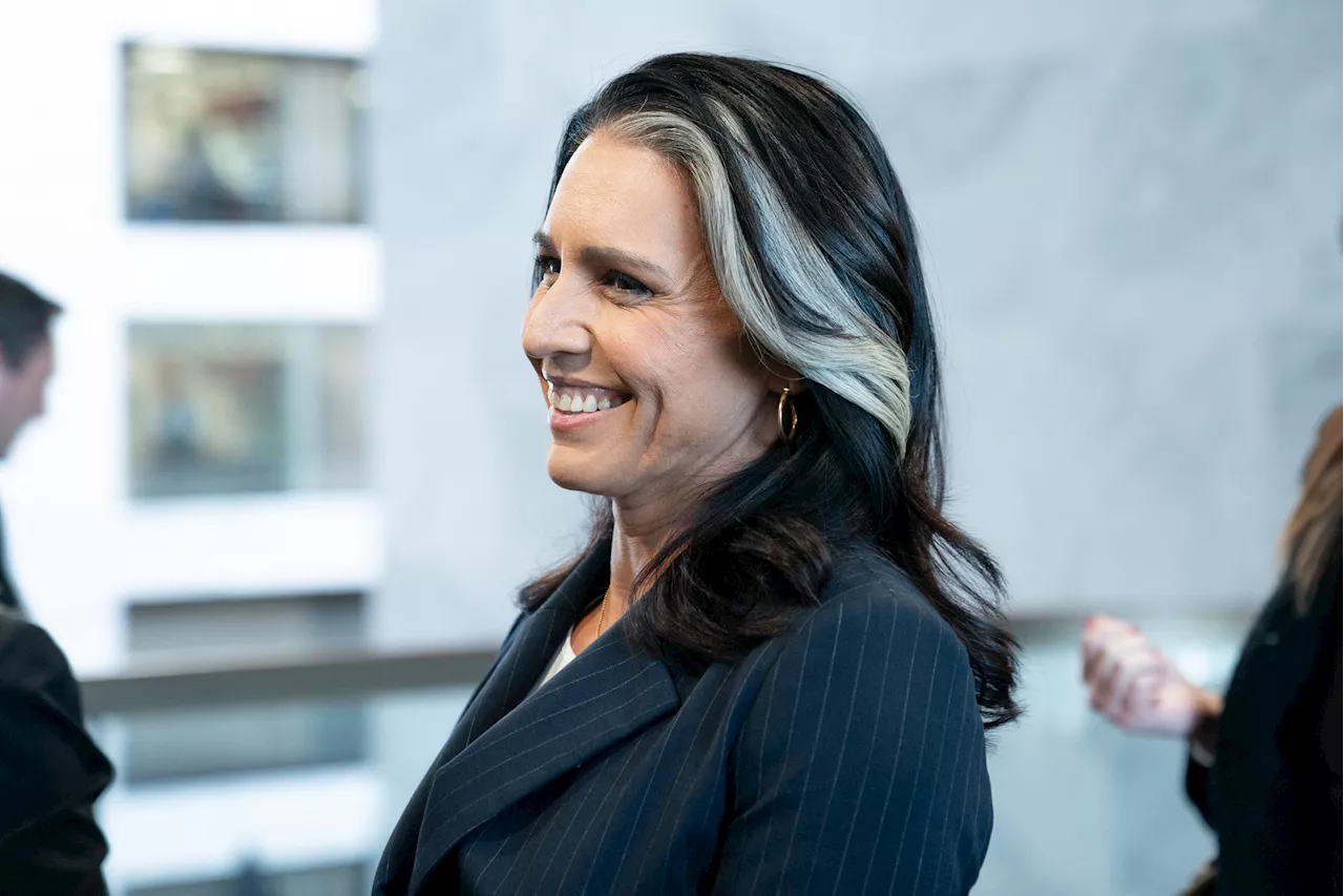 Syria Proves the U.S. Needs Tulsi Gabbard