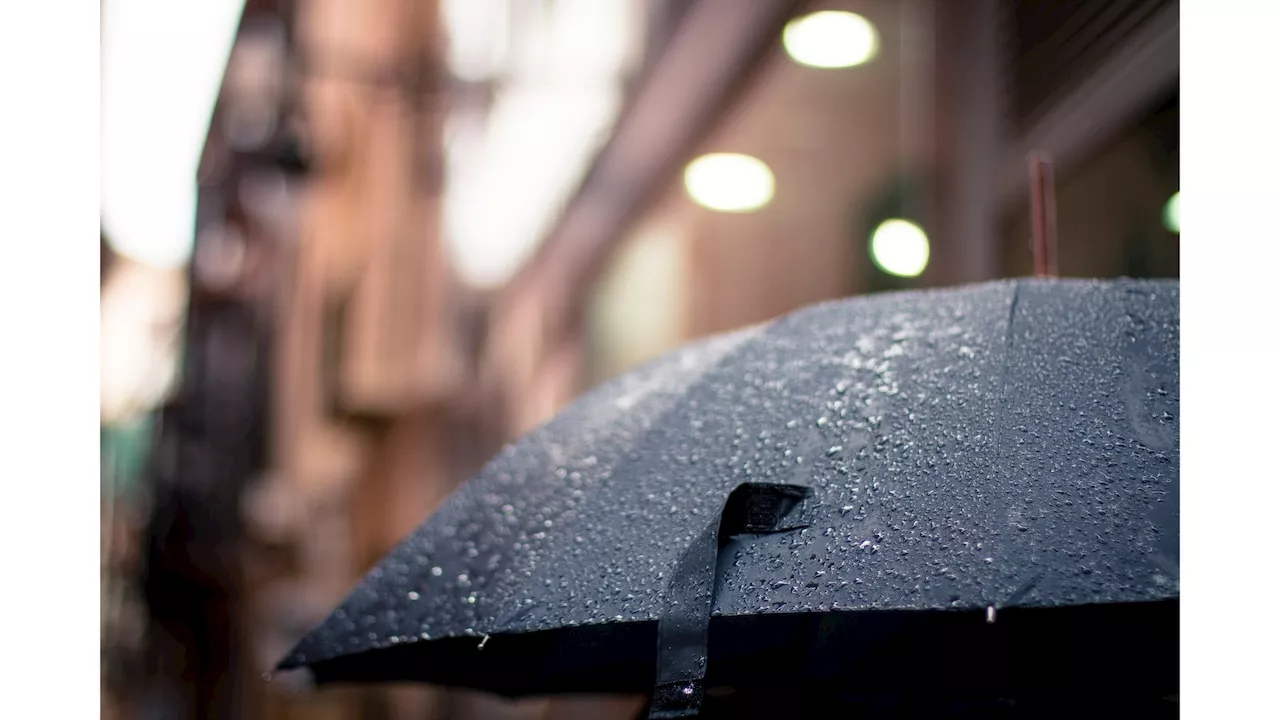 Is it Rude to Use an Umbrella in a Crowd?