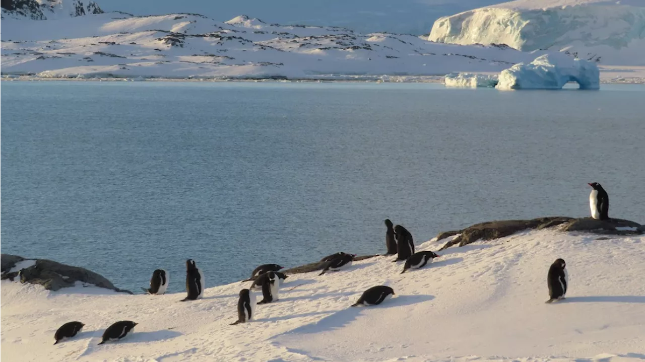 2024 was the world’s warmest year on record