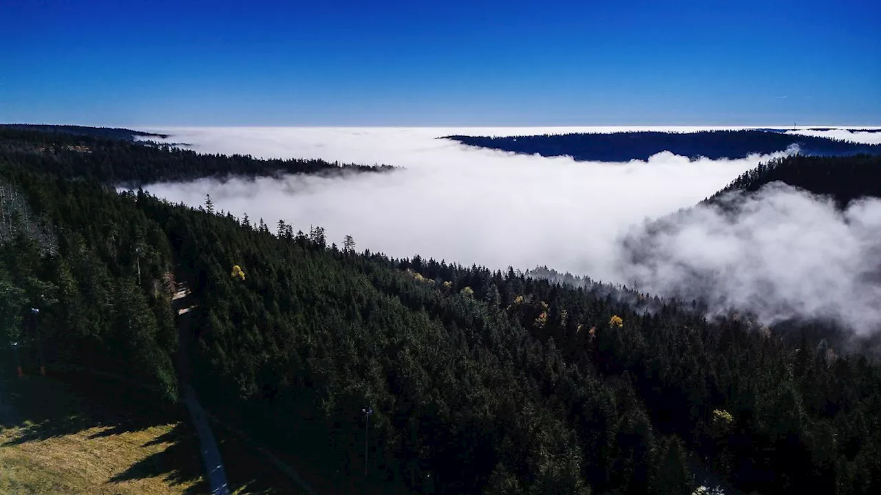 Baden-Württemberg: Erweiterung von Nationalpark Schwarzwald: Land macht Zusagen