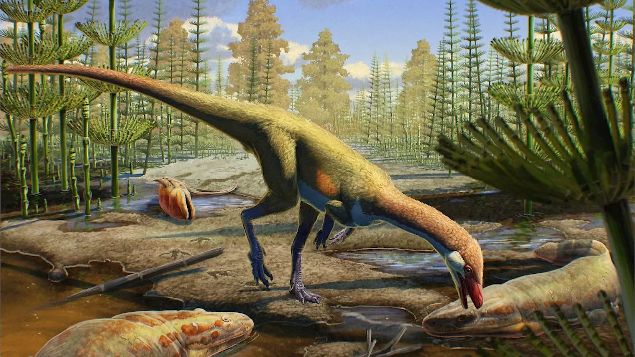 Dinosaurierfund in den USA - Tiere lebten früher auf der Nordhalbkugel als gedacht