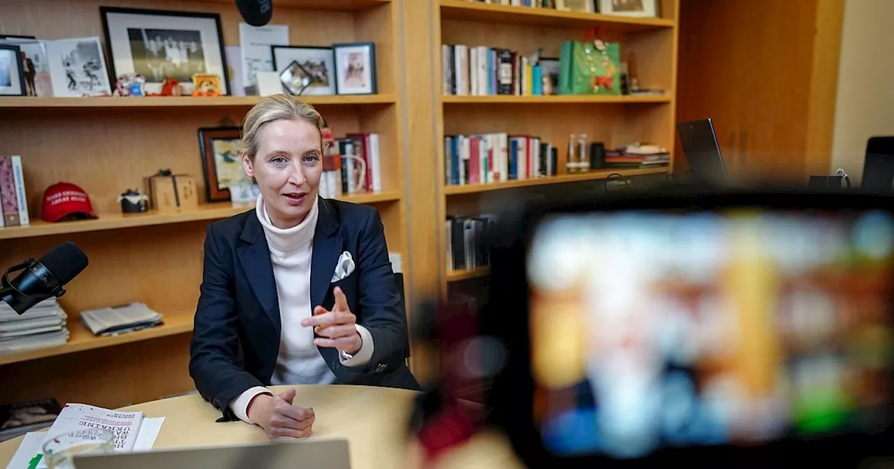 Blind-Date auf X: Musk trifft AfD-Chefin Weidel