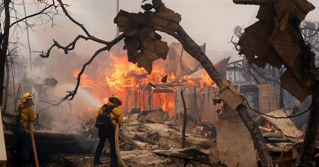 Brände in Los Angeles: Kritik am Katastrophenschutz