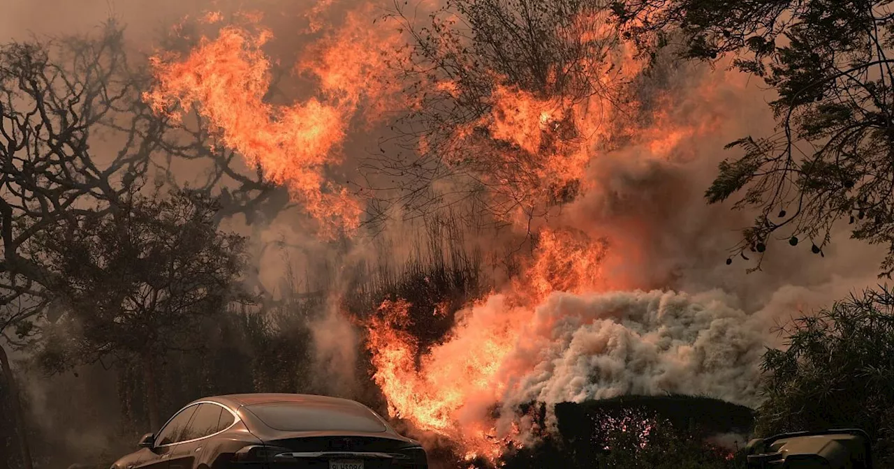 Brände in Los Angeles: Zwei Feuer weiterhin außer Kontrolle